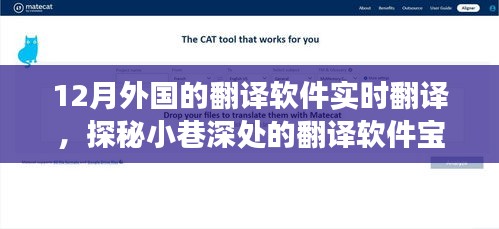 探秘十二月外國實(shí)時(shí)翻譯軟件，小巷深處的翻譯寶藏體驗(yàn)之旅