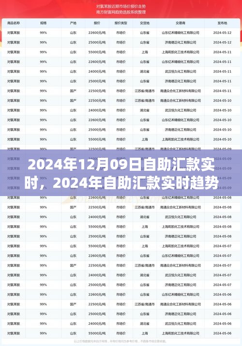 自助匯款實時趨勢下的金融革新，機遇與挑戰(zhàn)并存（2024年12月09日）