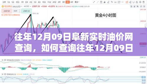 往年12月09日阜新實時油價網(wǎng)查詢攻略，初學(xué)者與進階用戶指南