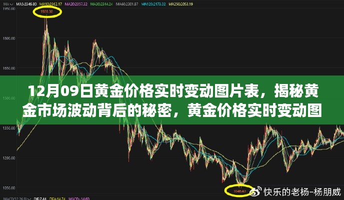 揭秘黃金市場波動背后的秘密，黃金價格實時變動深度解析（附12月09日圖表）