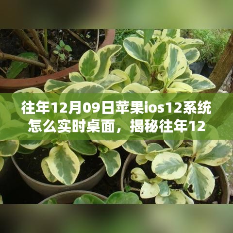 造價(jià)咨詢 第6頁