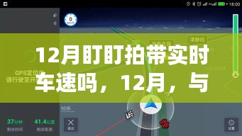 12月盯盯拍實時車速探尋美景之旅，與自然共舞，內(nèi)心寧靜之旅