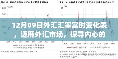 揭秘外匯市場風(fēng)云變幻，探尋匯率背后的故事——12月09日外匯匯率實(shí)時變化表解析