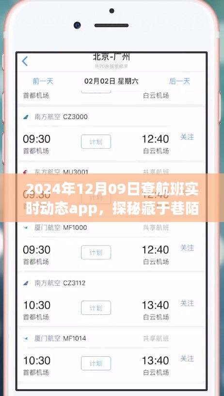 探秘航班實(shí)時(shí)動(dòng)態(tài)小天地，2024年12月9日的奇妙航班查詢之旅