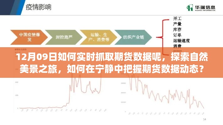 探索自然美景之旅與實(shí)時(shí)抓取期貨數(shù)據(jù)，寧靜中的動(dòng)態(tài)把握策略