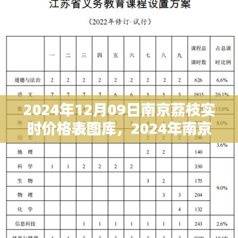 2024年南京荔枝實(shí)時(shí)價(jià)格表圖庫(kù)制作指南，從初學(xué)者到進(jìn)階用戶全攻略