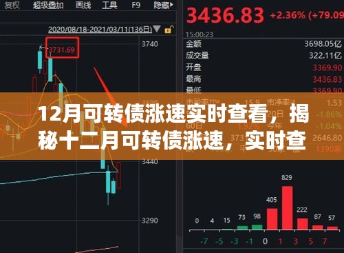 揭秘十二月可轉(zhuǎn)債漲速，實(shí)時(shí)查看與深度解讀報(bào)告