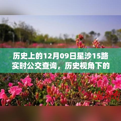 歷史視角下的星沙公交發(fā)展，星沙公交查詢系統(tǒng)深度探討與實時公交查詢服務解析（附，歷史上的星沙公交變遷）