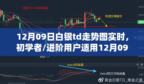 12月09日白銀TD走勢圖實時分析指南，適合初學(xué)者與進(jìn)階用戶