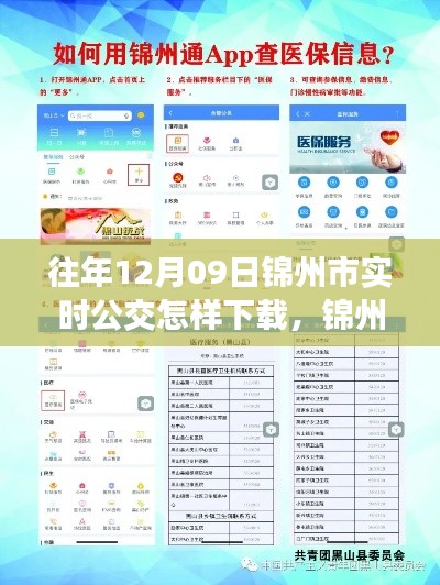 錦州市實時公交查詢APP下載指南，以往年12月09日為例的教程分享