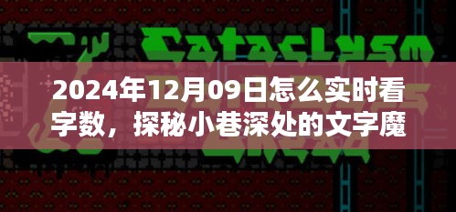 探秘小巷深處的文字魔法屋，如何在特定日期實時查看字數(shù)技巧揭秘（2024年12月09日）