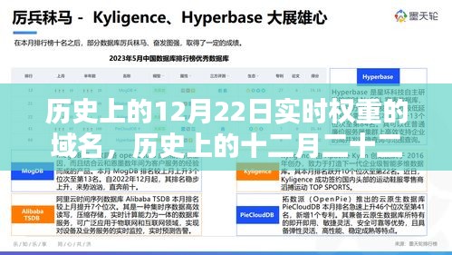 探尋實(shí)時(shí)權(quán)重域名，歷史上的十二月二十二日回顧與揭秘