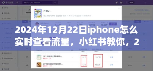 2024年12月22日iPhone實(shí)時查看流量教程，小紅書教你如何輕松監(jiān)控流量消耗