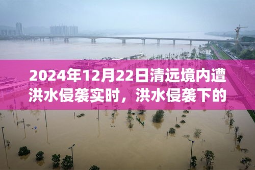 洪水侵襲下的清遠(yuǎn)秘境，美食奇遇與實(shí)時(shí)報(bào)道