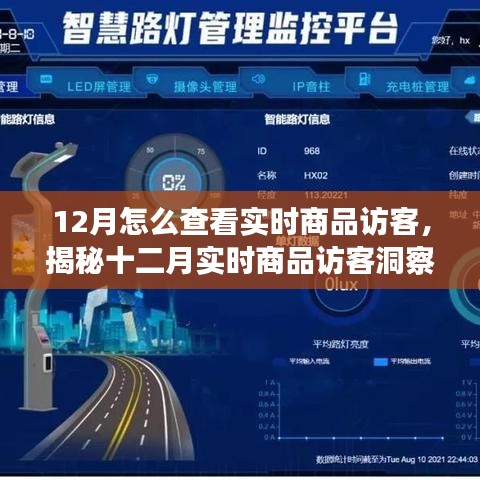 揭秘十二月實(shí)時(shí)商品訪客洞察，洞悉訪客動(dòng)態(tài)與商業(yè)進(jìn)展的秘訣