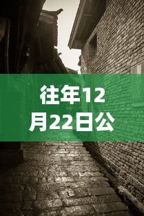 探秘寶藏店，公路云實(shí)時(shí)監(jiān)控軟件下載新體驗(yàn)，12月22日實(shí)時(shí)下載探秘小巷深處之旅