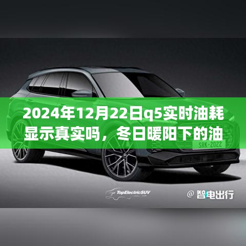 冬日暖陽(yáng)下的真相探尋，2024年Q5實(shí)時(shí)油耗顯示的可信度與友情之旅