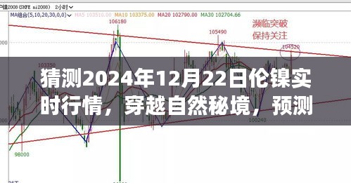 倫鎳行情預(yù)測與心靈之旅，穿越自然秘境，探索2024年倫鎳實時行情的奇妙交織