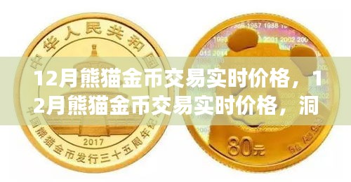 12月熊貓金幣實(shí)時(shí)交易價(jià)格，洞悉市場(chǎng)動(dòng)態(tài)，把握投資機(jī)會(huì)