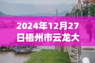 梧州市云龍大橋?qū)崟r(shí)水位監(jiān)測指南，以初學(xué)者和進(jìn)階用戶視角看水位監(jiān)測