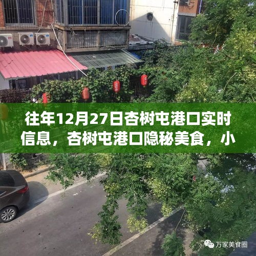 杏樹屯港口，美食秘境與實(shí)時(shí)信息的探索之旅