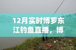 博羅東江畔的釣魚盛宴，12月實時釣魚直播開啟！