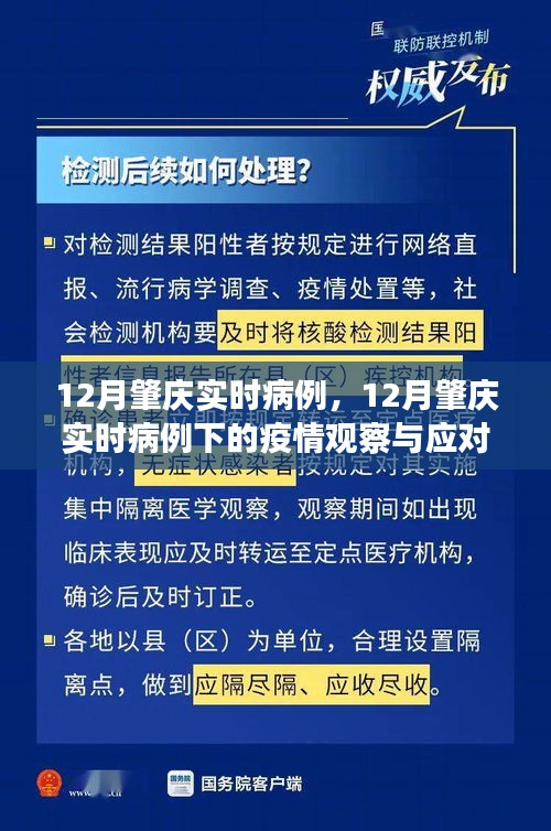 關(guān)于肇慶市實時病例的觀察與應對策略之我見，疫情下的深度探討