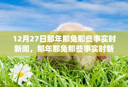 那年那兔時事新聞追蹤解讀指南，從初學者到進階用戶的步驟指南