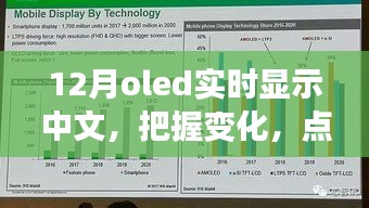 12月OLED中文實時顯示，把握變化，點亮未來——展現(xiàn)你的中文魅力