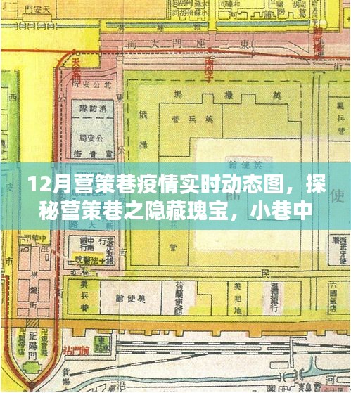 營策巷疫情動態(tài)與隱藏瑰寶探索，小巷特色小店實時更新數(shù)據(jù)報告