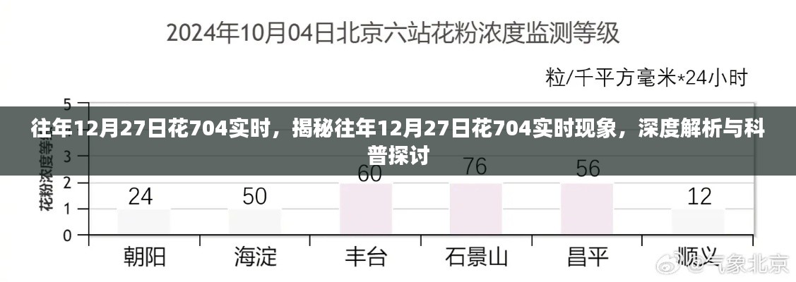 揭秘與深度解析，往年12月27日花704實時現象探討