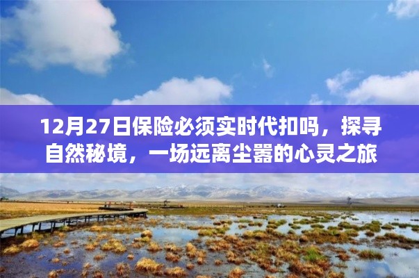 保險(xiǎn)代扣與心靈之旅，探尋自然秘境的遠(yuǎn)離塵囂之旅