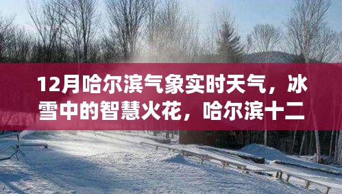 哈爾濱十二月冰雪智慧，氣象實(shí)時(shí)觀察與啟示錄