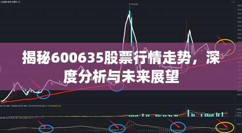 揭秘600635股票行情走勢，深度分析與未來展望