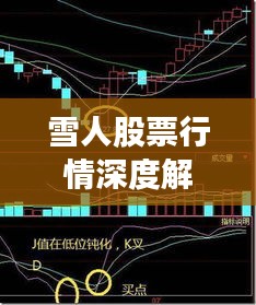 雪人股票行情深度解析，最新價(jià)格走勢與投資建議