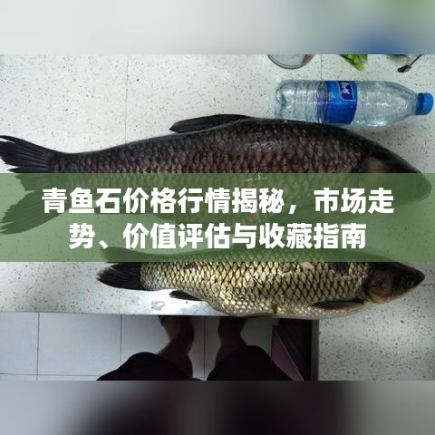 青魚石價格行情揭秘，市場走勢、價值評估與收藏指南