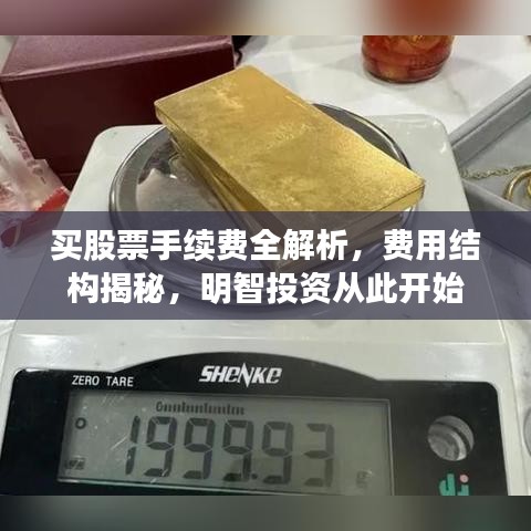 買股票手續(xù)費全解析，費用結(jié)構(gòu)揭秘，明智投資從此開始