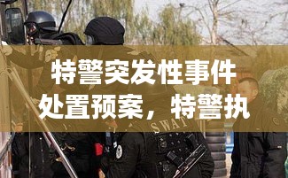 特警突發(fā)性事件處置預(yù)案，特警執(zhí)勤突發(fā)事件視頻 