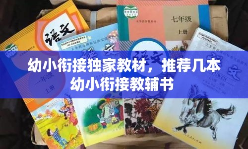 幼小銜接獨(dú)家教材，推薦幾本幼小銜接教輔書 