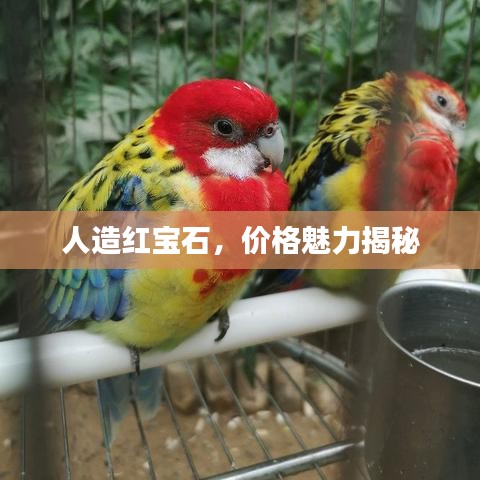 人造紅寶石，價(jià)格魅力揭秘