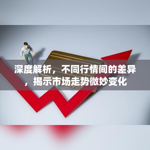 深度解析，不同行情間的差異，揭示市場走勢微妙變化