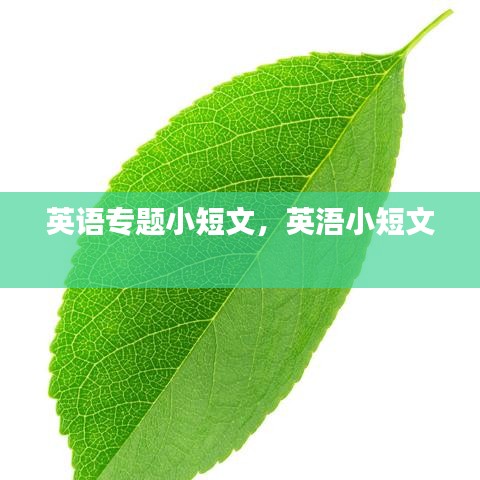 英語專題小短文，英浯小短文 