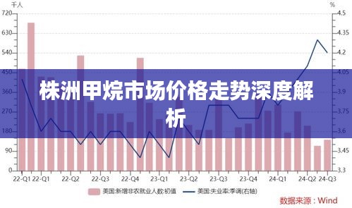 株洲甲烷市場價格走勢深度解析