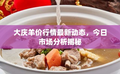 大慶羊價(jià)行情最新動(dòng)態(tài)，今日市場分析揭秘