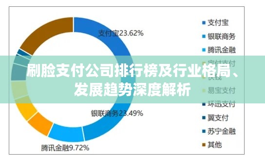 刷臉支付公司排行榜及行業(yè)格局、發(fā)展趨勢深度解析