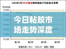 今日粘膠市場走勢深度解析，最新行情報告