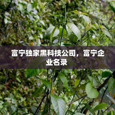 富寧獨(dú)家黑科技公司，富寧企業(yè)名錄 