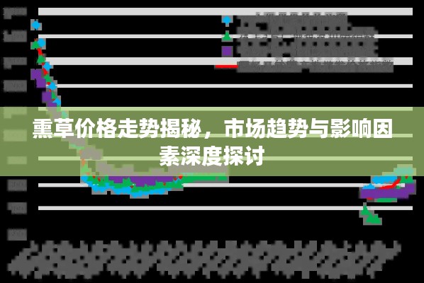 熏草價格走勢揭秘，市場趨勢與影響因素深度探討