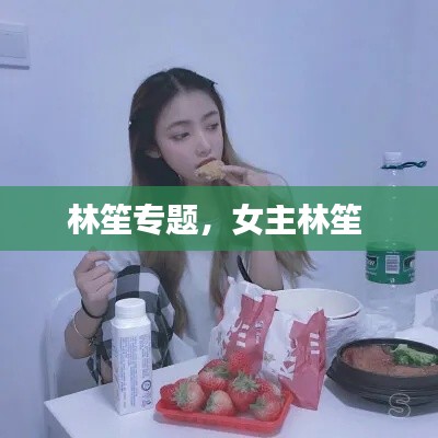 林笙專題，女主林笙 