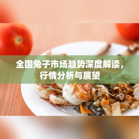 全國兔子市場(chǎng)趨勢(shì)深度解讀，行情分析與展望